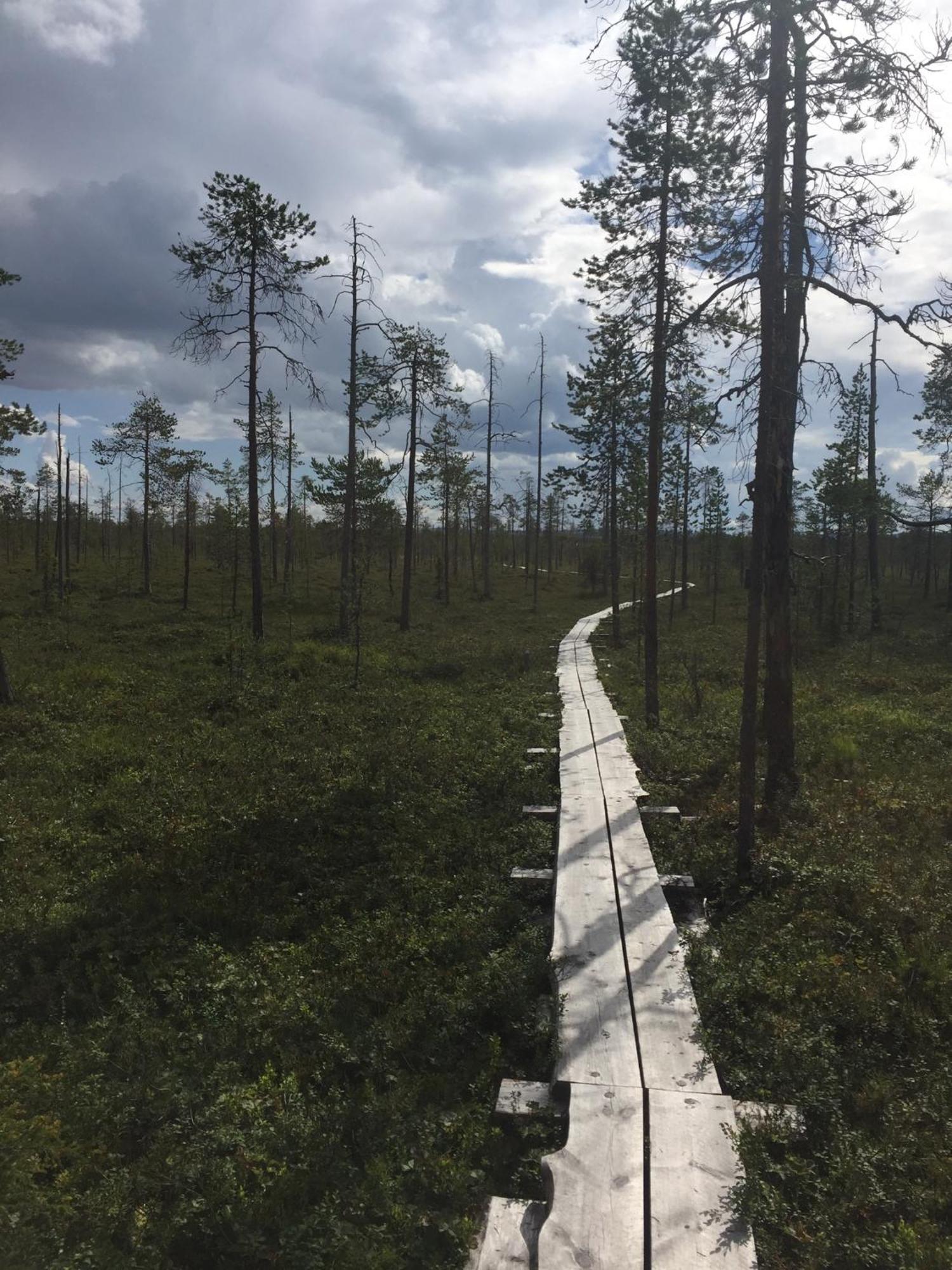 Ankkalinna Pyhätunturi Eksteriør bilde